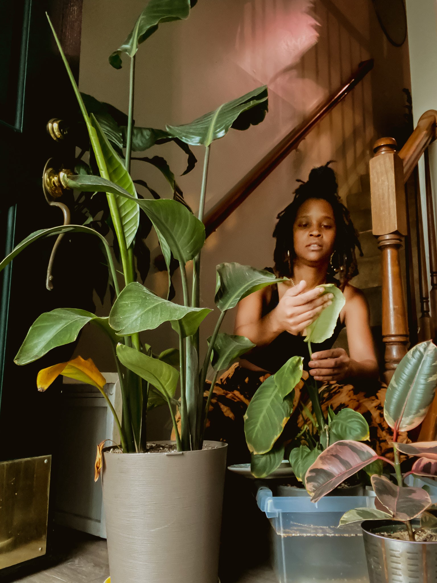 Flow of Creativity